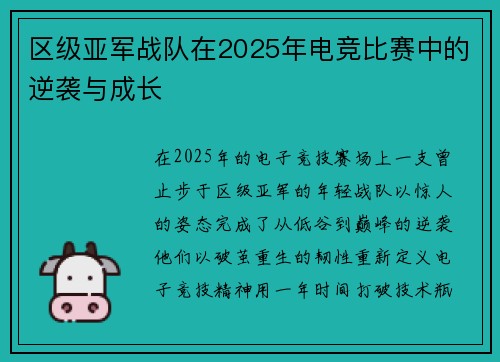 区级亚军战队在2025年电竞比赛中的逆袭与成长