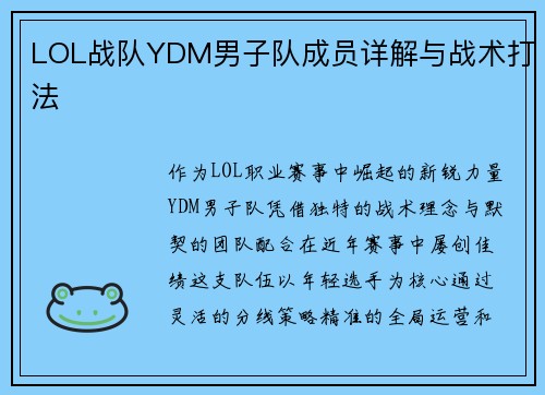 LOL战队YDM男子队成员详解与战术打法